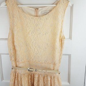 Loft | Peach and Silver Lace Dress size 12